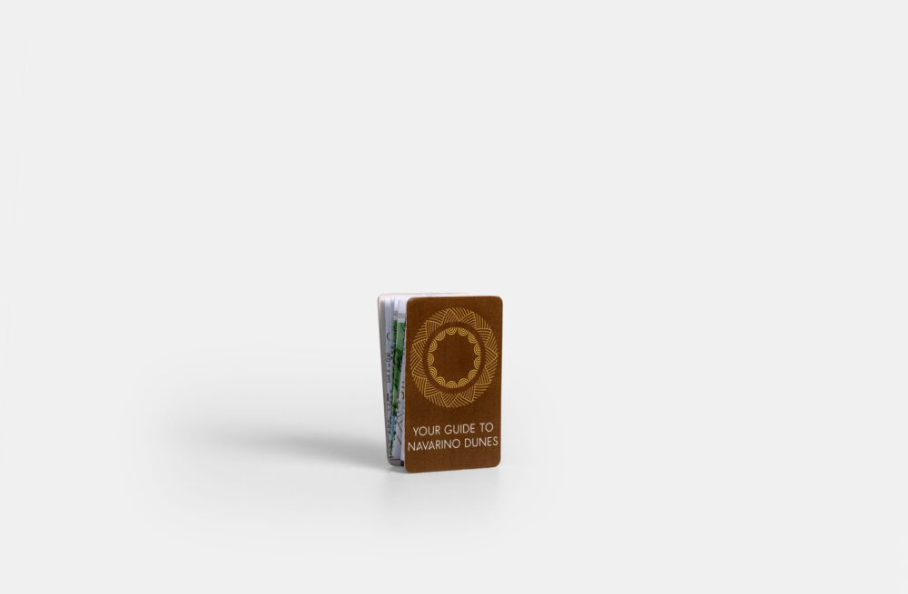 z fold card credit costa navarino
