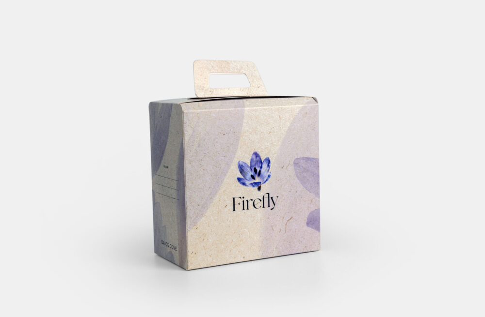 lunch box firefly daios cove