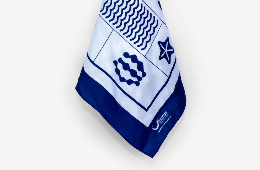scarve our ocean conference