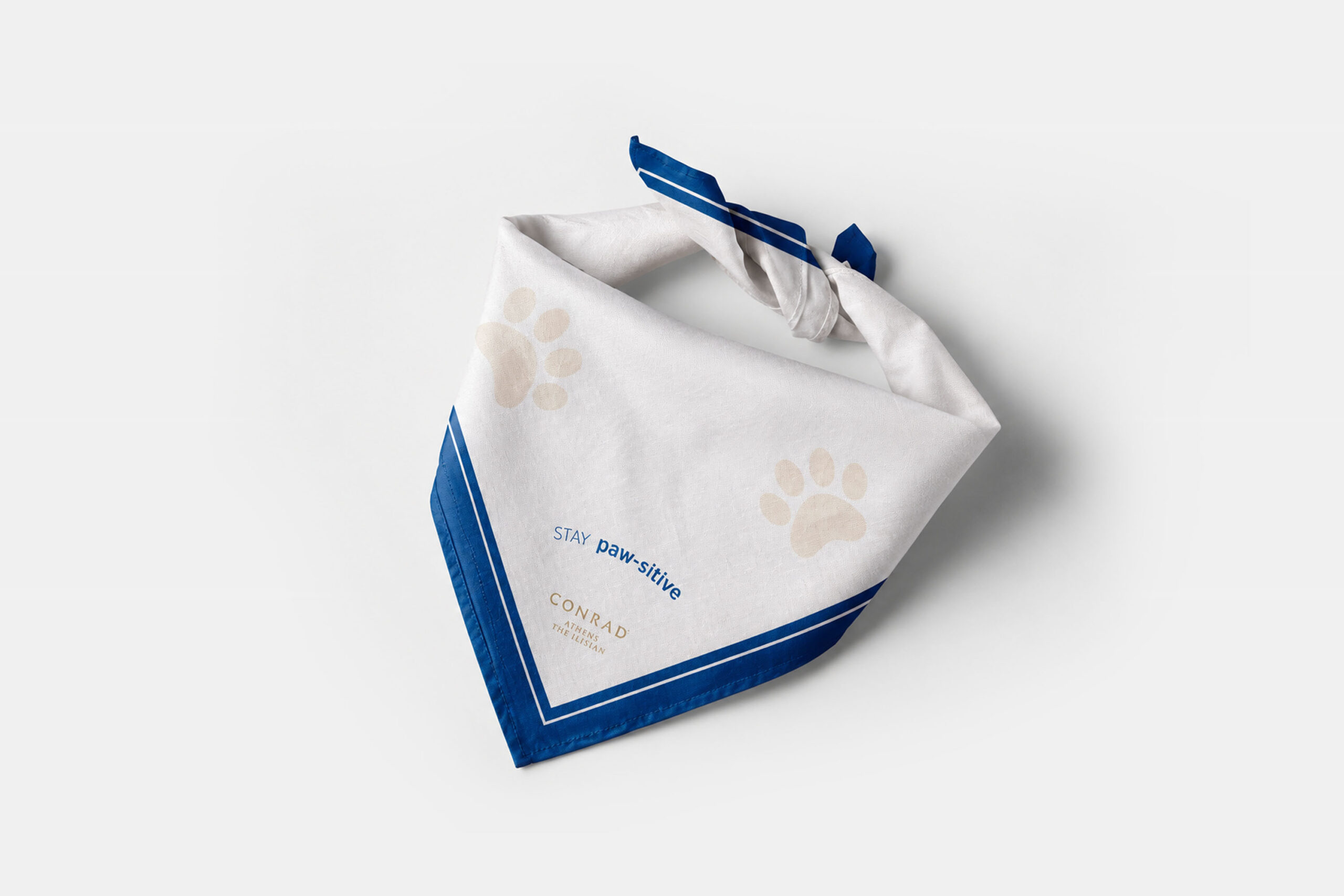 conrad dog bandana