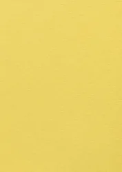 Color Plan Factory Yellow 5547-270