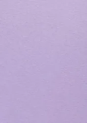 Color Plan Lavender 5556-270