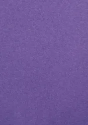 Color Plan Purple 5558-270