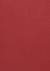 Color Plan Vermillion 5544-270