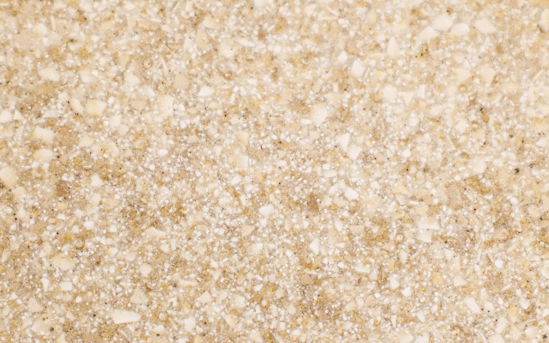 sustainable eggshell