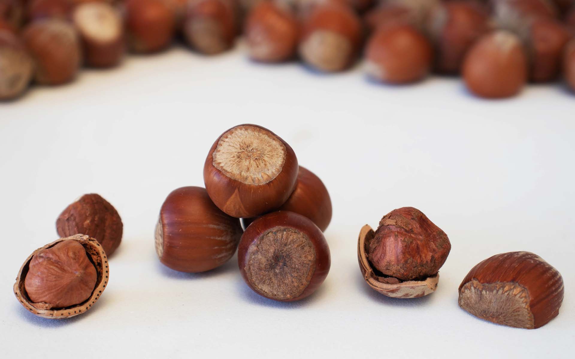 sustainable hazelnut